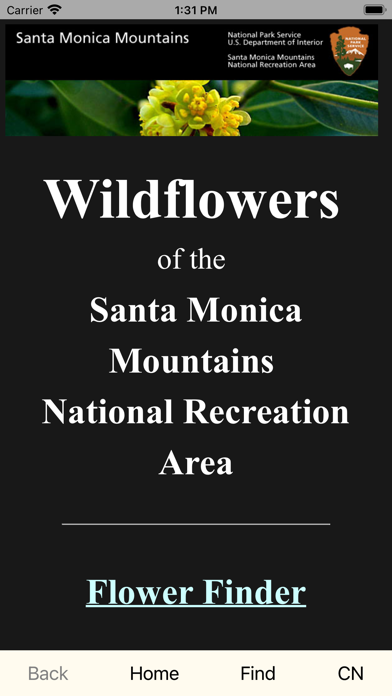 SMM WildFlowers Screenshot