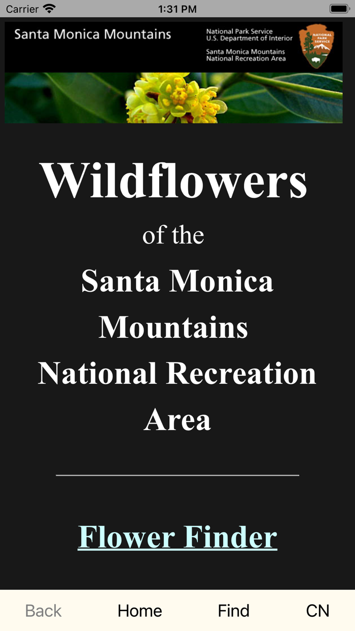 SMM WildFlowers