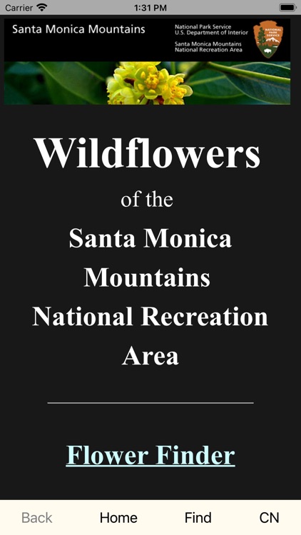 SMM WildFlowers
