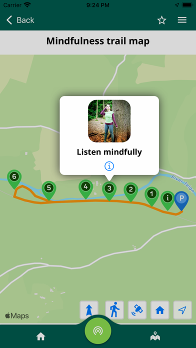 Fingle Woods Screenshot