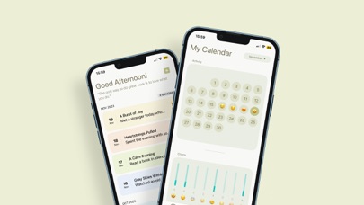 Serenity Journal - Daily Diary Screenshot