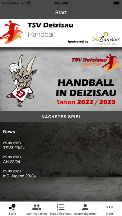 TSV Deizisau Handball Screenshot