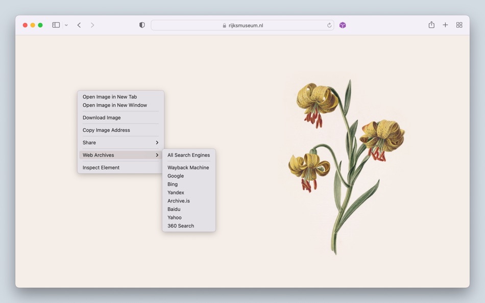 #2. Web Archives for Safari (macOS) 由: Armin Sebastian