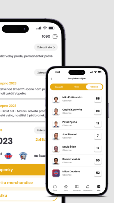 Motor České Budějovice Screenshot