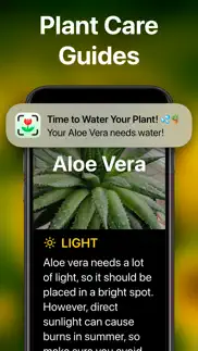 plantai - plant identifier iphone screenshot 3