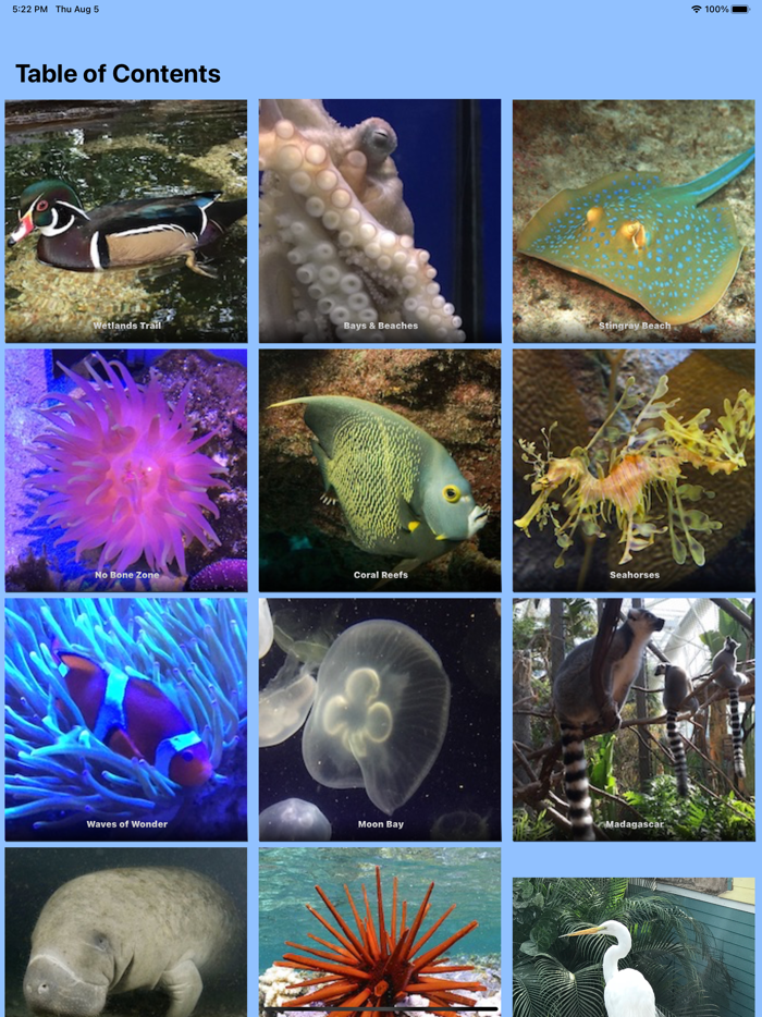 Florida Aquarium Guide