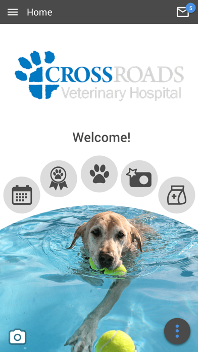 Crossroads Vet Hospital Screenshot
