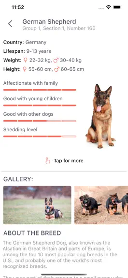 Game screenshot Paws: Dog & Puppy Breeds hack