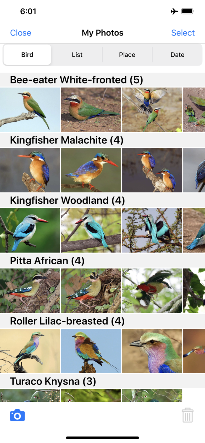 Roberts Bird Guide 2 iap