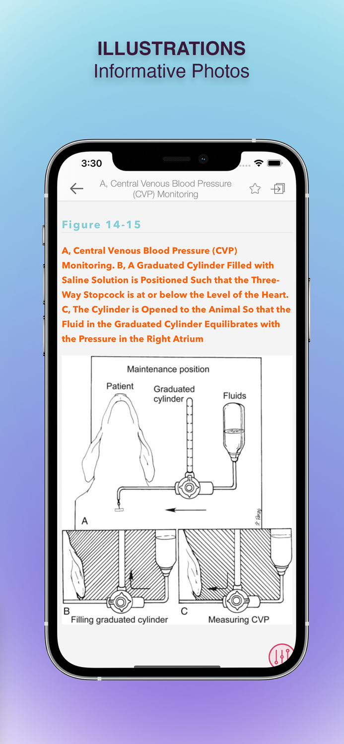 Handbook Veterinary Anesthesia