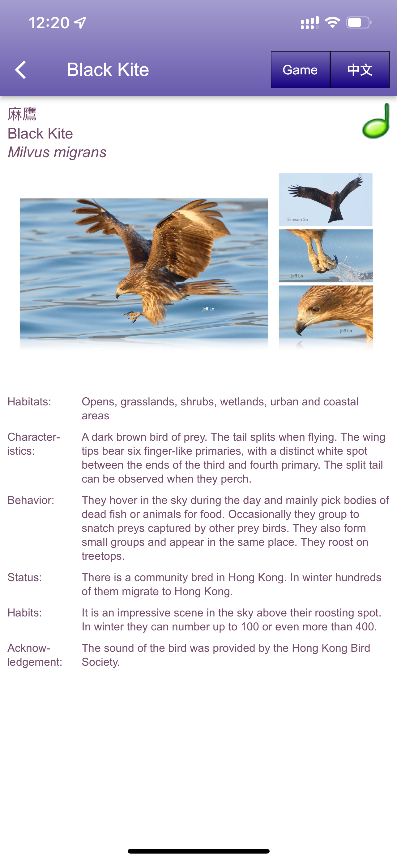中大鳥  Birds of CUHK screenshot 3
