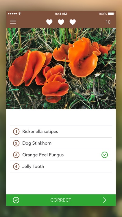 Mushroom LITE - Field Guide screenshot-4