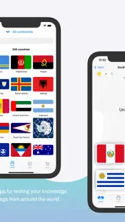 flags learning quiz iphone screenshot 2