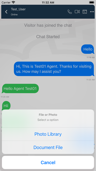 REVE Chat Screenshot