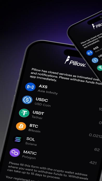 Pillow Fund: Invest in Dollars Screenshot