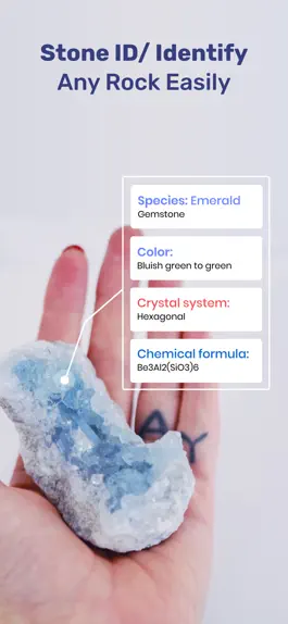 Game screenshot Stone ID - Crystal identifier apk