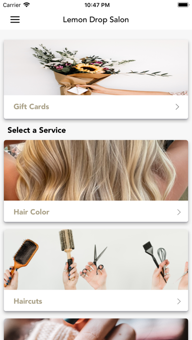 Lemon Drop Salon Screenshot