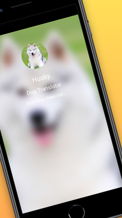 Dog Translator Prank Simulator Screenshot