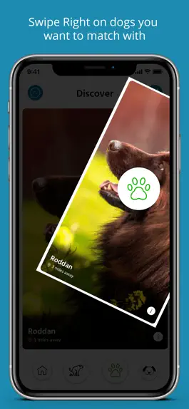 Game screenshot Doggy Style apk