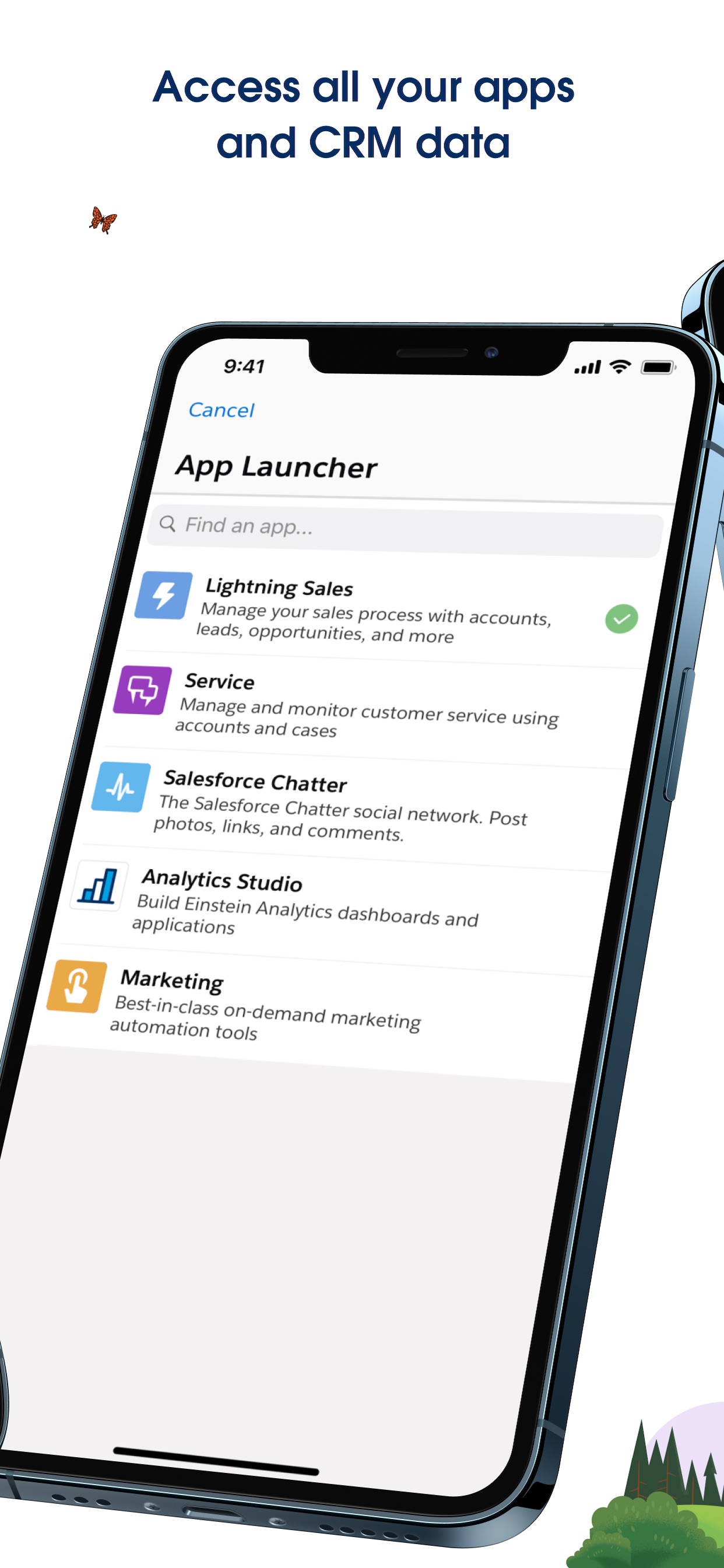 Salesforce screenshot 4