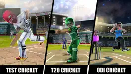 Game screenshot RVG Cricket Game: Cricket Lite hack