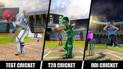 RVG Cricket Game: Cricket Lite Screenshot
