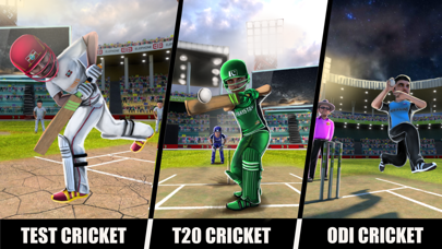 RVG Cricket Game: Cricket Liteのおすすめ画像3