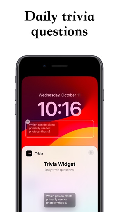 Trivia Widget Screenshot