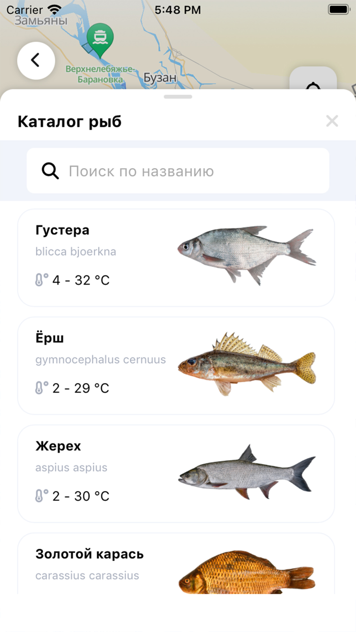 Точка клева