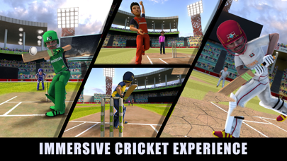 RVG Cricket Game: Cricket Liteのおすすめ画像2