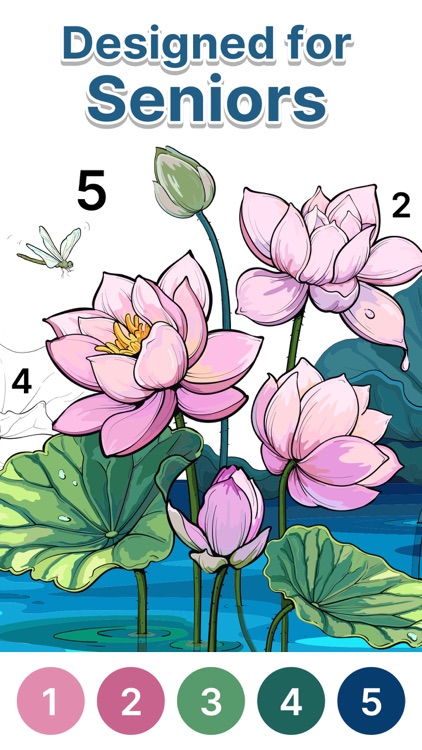 Anima Color for Seniors