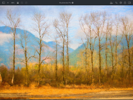 Brushstroke Pro for iPad iPad screenshot 8 - Photo & Video app