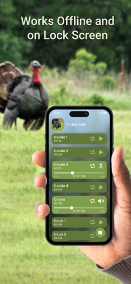 Hunting Calls: Turkeyのおすすめ画像3