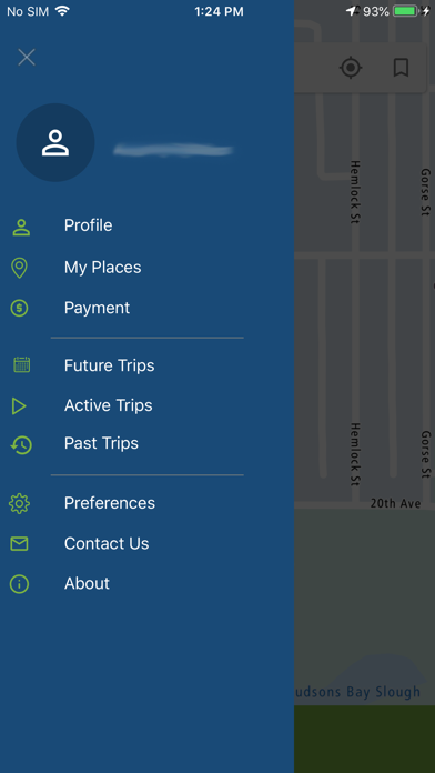 Emerald Taxi Screenshot