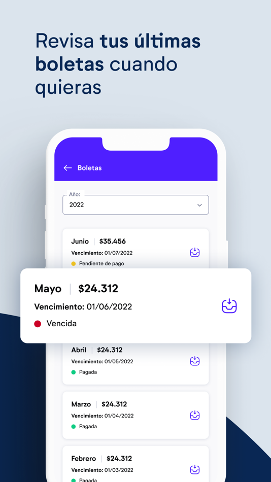 #2. Edelaysen App (iOS) Podle: Grupo Saesa