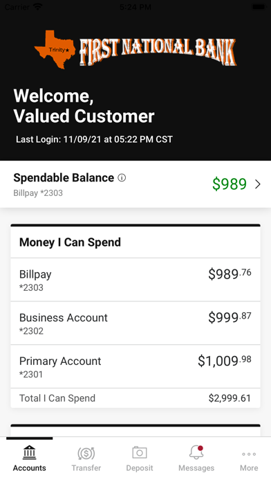 First National Bank - Trinity Screenshot