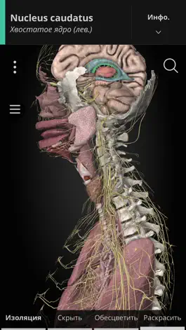 Game screenshot Anatomyka mod apk
