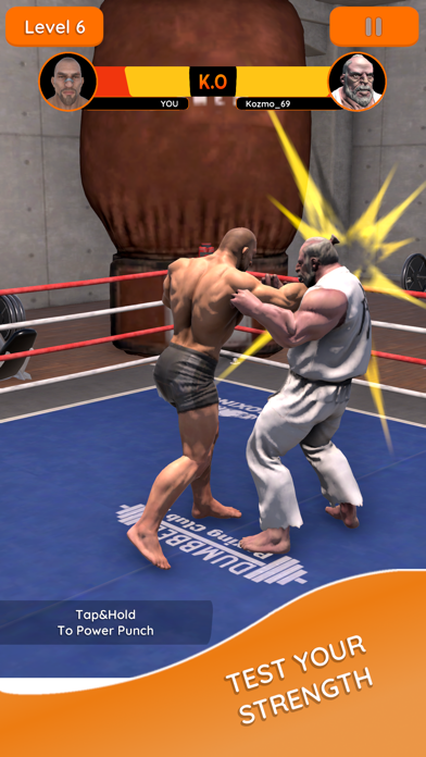 Boxer Mania Screenshot