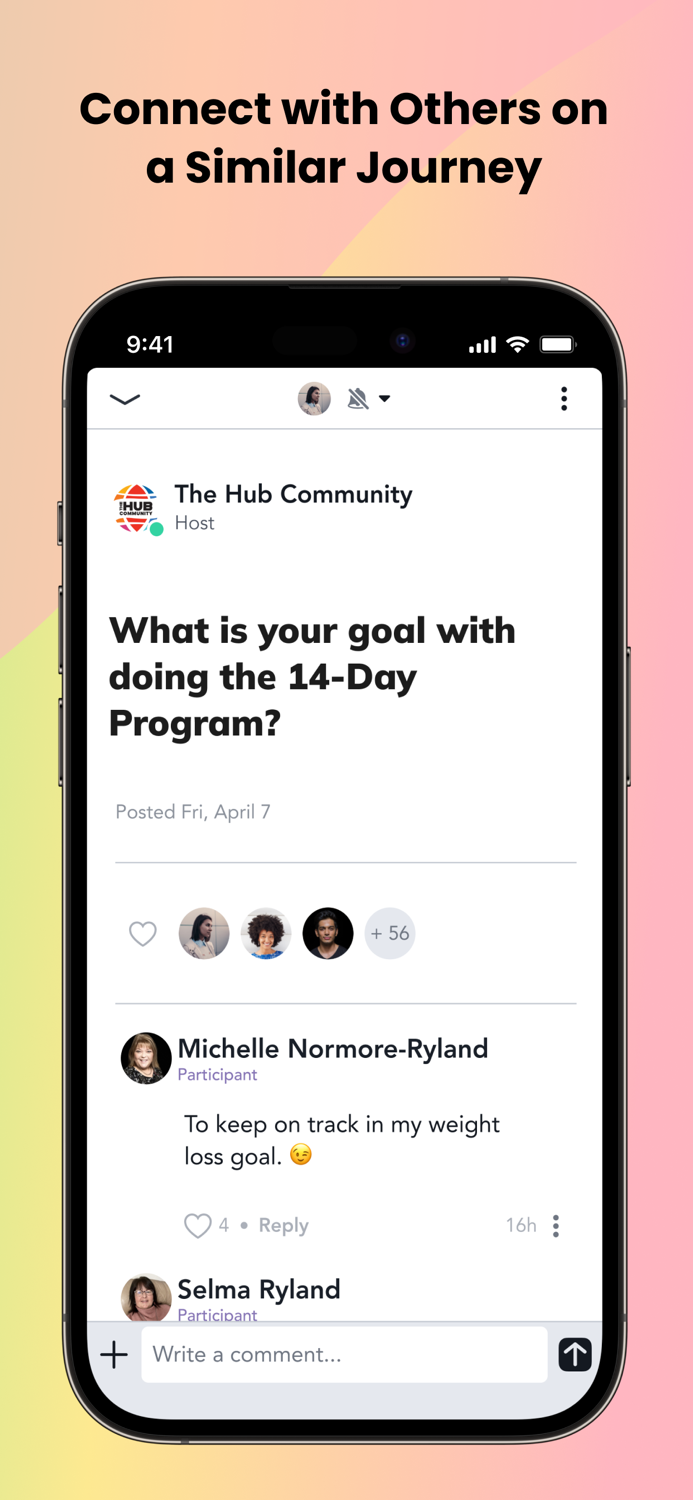 The Hub Community