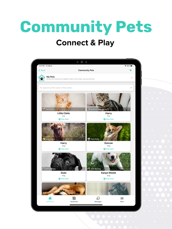Henri Home iPad screenshot 4 - Lifestyle app