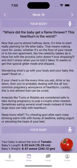 Game screenshot Pregnancy-tracker hack