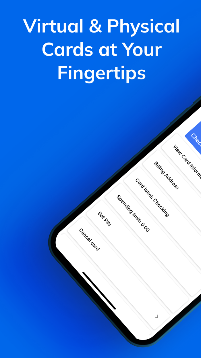 SkyFi Business Checking