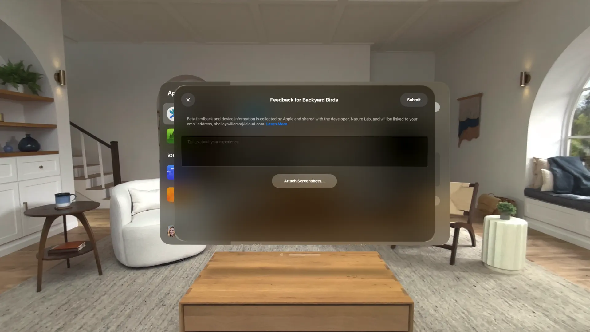 TestFlight screenshot 3