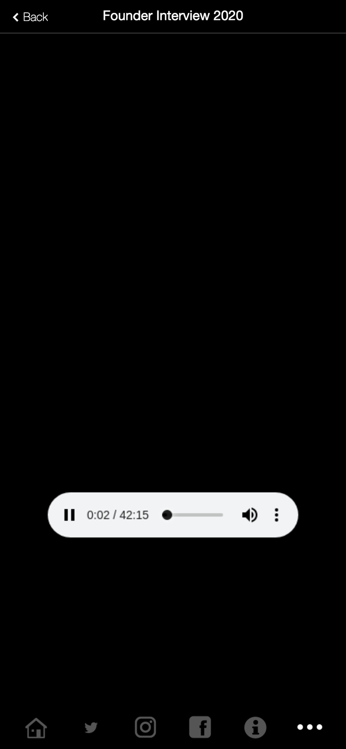 The Fading Theory LLC