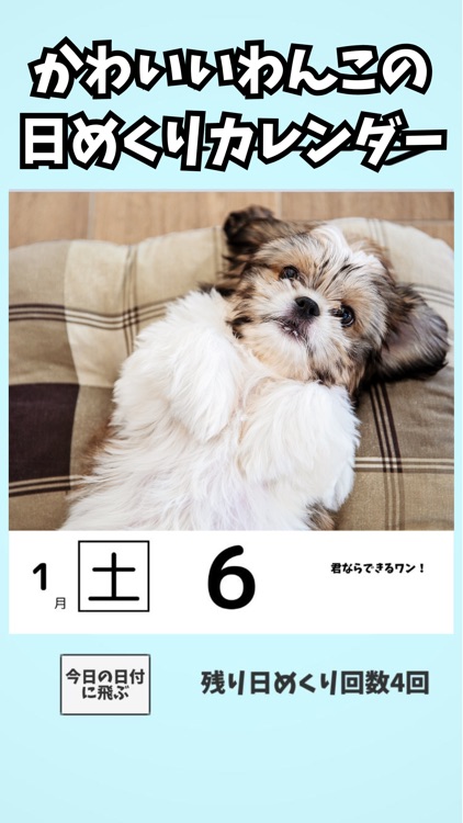 ひめくりカレンダー - かれんだー - カレンダー