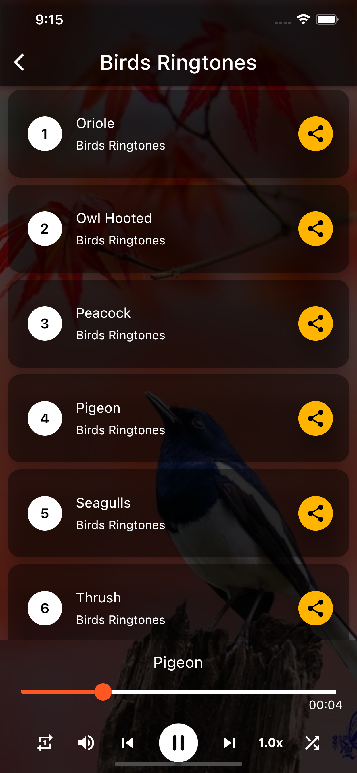 Birds Ringtones