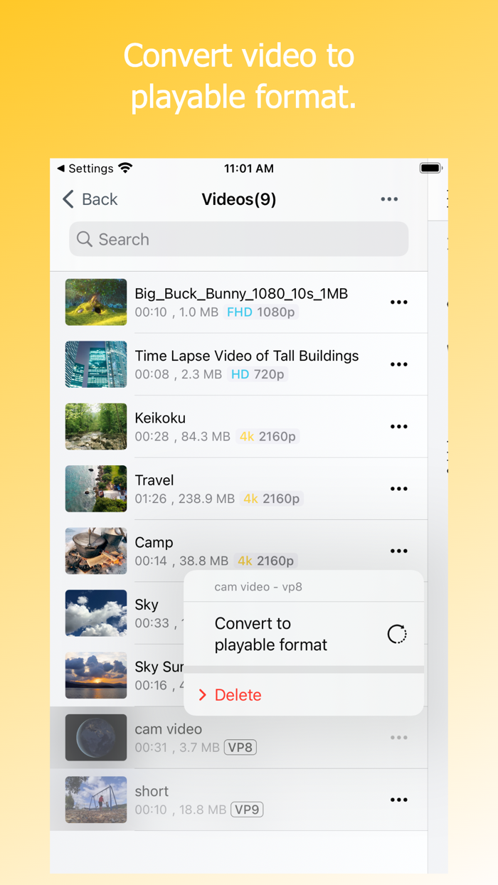 Video Storage-Conv-PIP - Doda