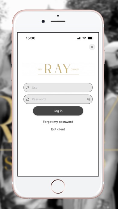 The Ray Group Screenshot
