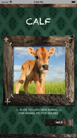 Game screenshot Farm Animal Sounds Learning mod apk