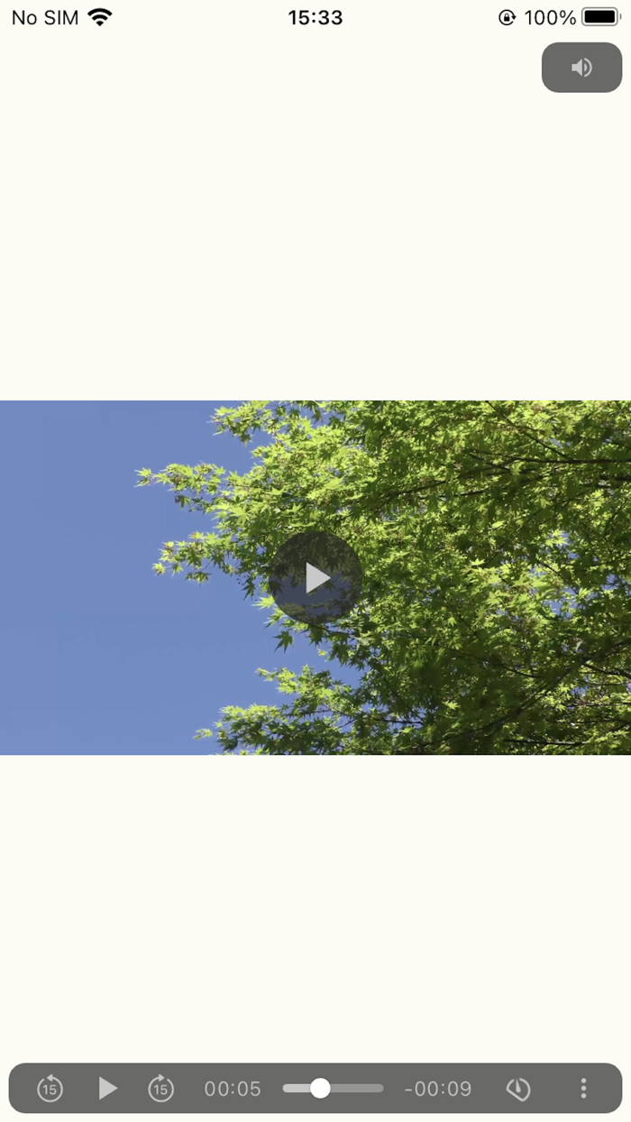 PlayX2 - double-speed playback